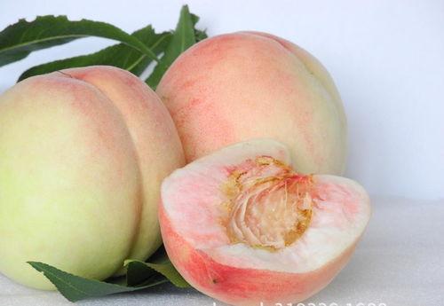 吃瓜黑料骚蜜桃,一场网络舆论的风暴