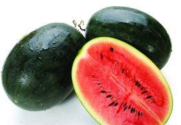 黑瓜吃料网张津渝,张津渝的美食之旅