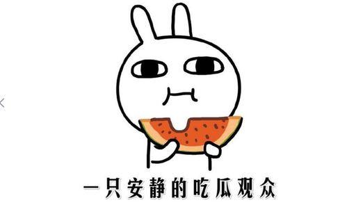 热门今日吃瓜黑料,揭秘娱乐圈最新吃瓜黑料，真相令人震惊！