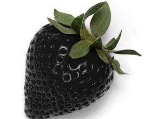 免费吃瓜黑料国产精品,国产精品背后的故事